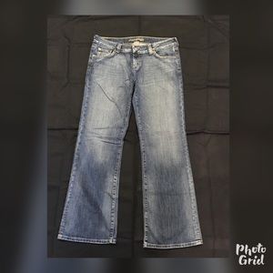 American Eagle Boot Cut 14 Regular